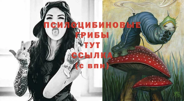 2c-b Абаза