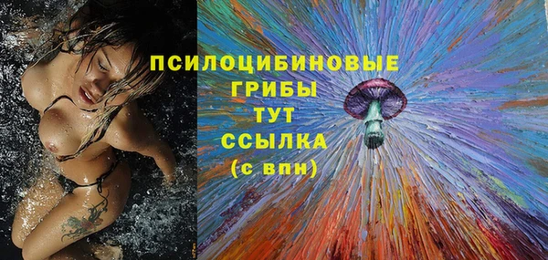 2c-b Абаза