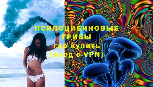 прущая мука Алзамай