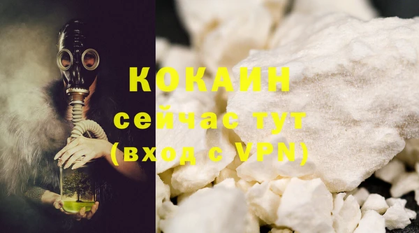 дживик Новодвинск