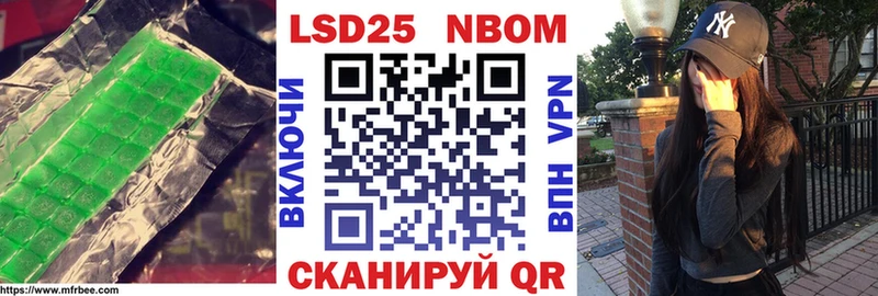 kraken зеркало  Шебекино  Лсд 25 экстази ecstasy 